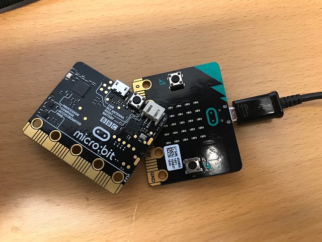 File:Microbit.jpg